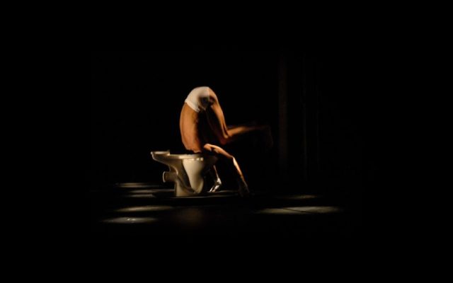 Canis Lupus, l’anatomie du loup