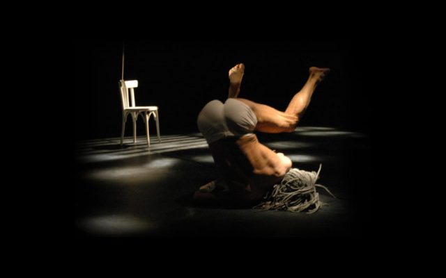 Canis Lupus, l’anatomie du loup