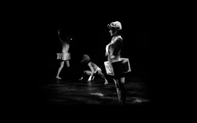 Canis Lupus, l’anatomie du loup