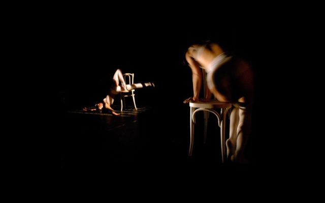 Canis Lupus, l’anatomie du loup