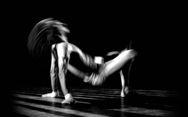 Canis Lupus, l’anatomie du loup