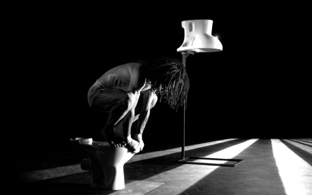 Canis Lupus, l’anatomie du loup